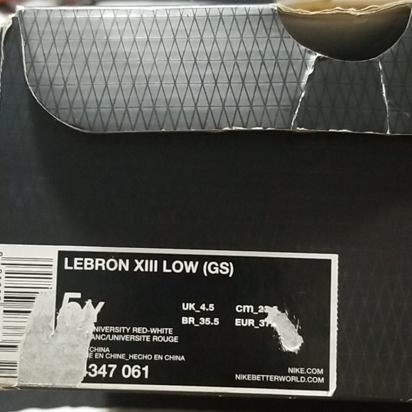 Lebron James - Picture 7 of 7